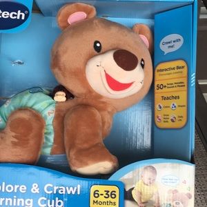 vtech crawl along bear big w
